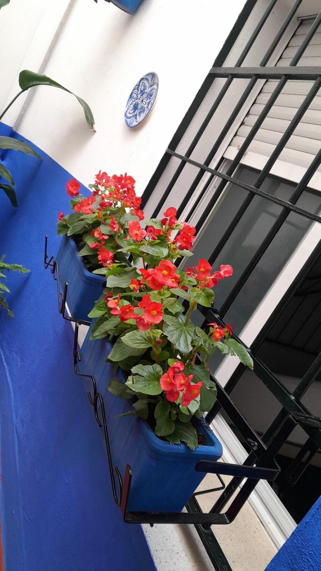 Puerta Sevilla Parking Gratis กอร์โดบา ภายนอก รูปภาพ